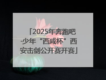 2025年奔跑吧·少年“西咸杯”西安击剑公开赛开赛