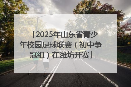 2025年山东省青少年校园足球联赛（初中争冠组）在潍坊开赛