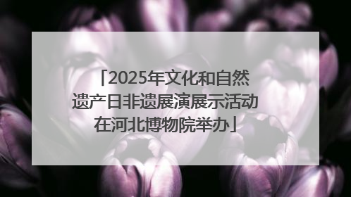 2025年文化和自然遗产日非遗展演展示活动在河北博物院举办
