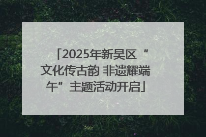 2025年新吴区“文化传古韵 非遗耀端午”主题活动开启
