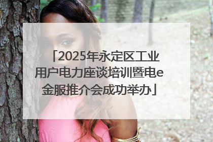 2025年永定区工业用户电力座谈培训暨电e金服推介会成功举办