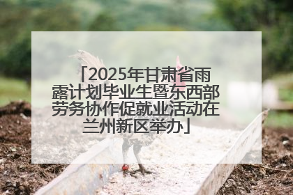 2025年甘肃省雨露计划毕业生暨东西部劳务协作促就业活动在兰州新区举办