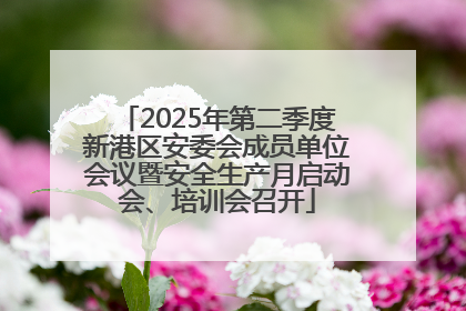 2025年第二季度新港区安委会成员单位会议暨安全生产月启动会、培训会召开