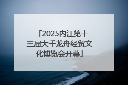 2025内江第十三届大千龙舟经贸文化博览会开幕
