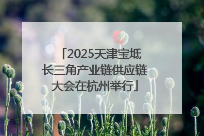 2025天津宝坻长三角产业链供应链大会在杭州举行