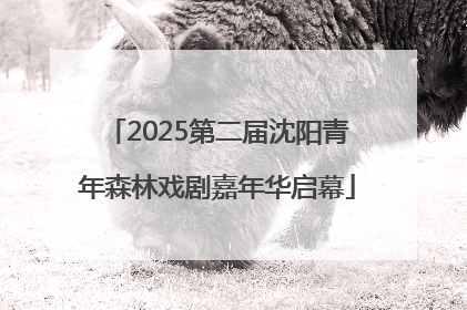 2025第二届沈阳青年森林戏剧嘉年华启幕