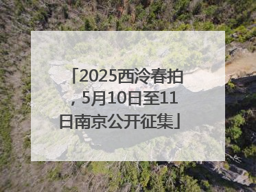 2025西泠春拍，5月10日至11日南京公开征集