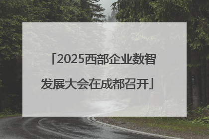2025西部企业数智发展大会在成都召开