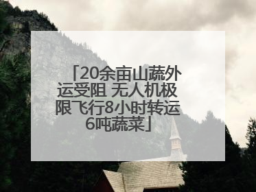 20余亩山蔬外运受阻 无人机极限飞行8小时转运6吨蔬菜