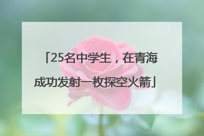 25名中学生，在青海成功发射一枚探空火箭