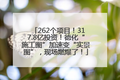 262个项目！317.8亿投资！德化“施工图”加速变“实景图”，现场燃爆了！