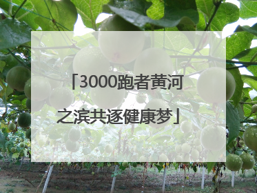 3000跑者黄河之滨共逐健康梦