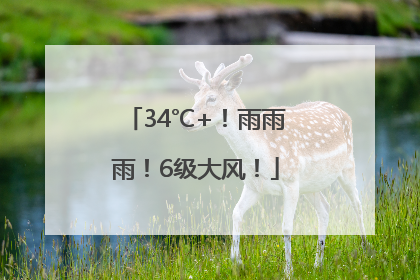 34℃+！雨雨雨！6级大风！