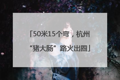 50米15个弯，杭州“猪大肠”路火出圈