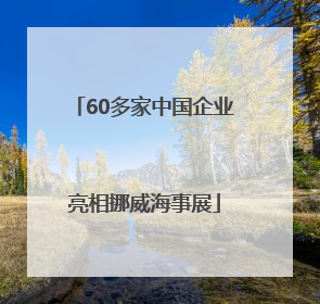 60多家中国企业亮相挪威海事展