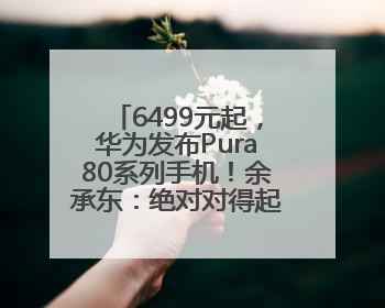 6499元起，华为发布Pura80系列手机！余承东：绝对对得起那四个字！华为近十年研发投入12490亿元