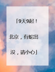 9天9起！北京，有蛇出没，请小心