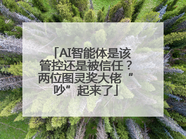 AI智能体是该管控还是被信任？两位图灵奖大佬“吵”起来了