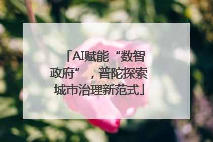 AI赋能“数智政府”，普陀探索城市治理新范式