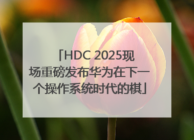 HDC 2025现场重磅发布华为在下一个操作系统时代的棋